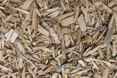 biomass boilers Palgrave